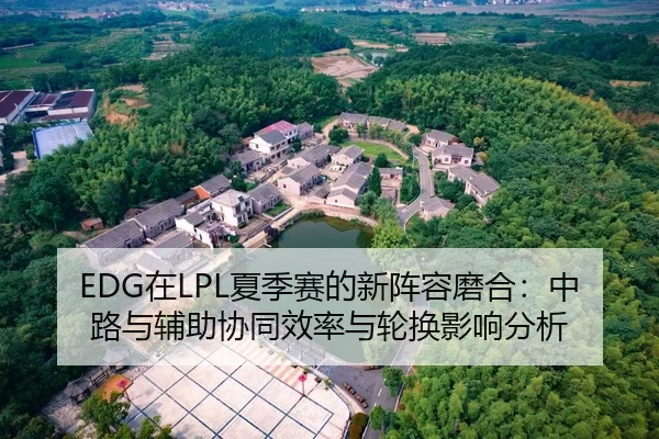 EDG在LPL夏季赛的新阵容磨合：中路与辅助协同效率与轮换影响分析