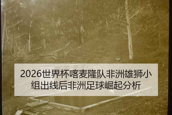 2026世界杯喀麦隆队非洲雄狮小组出线后非洲足球崛起分析